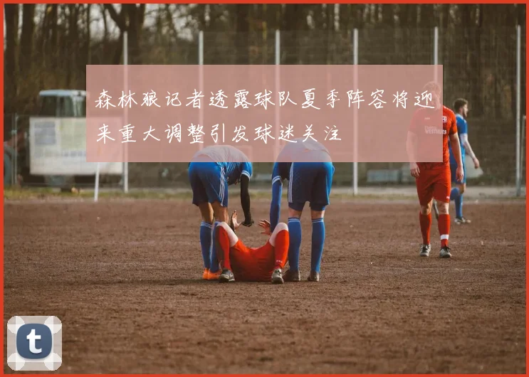 森林狼记者透露球队夏季阵容将迎来重大调整引发球迷关注