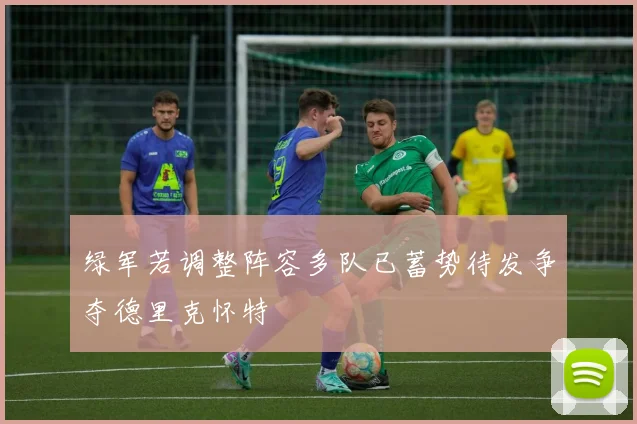 绿军若调整阵容多队已蓄势待发争夺德里克怀特